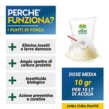 Carica l&#39;immagine nel visualizzatore di Gallery, Albagarden Bacillus Thuringiensis Kurstaki Insetticida Piante Biologico - Contro Parassiti, Insetti, Larve Dell&#39;orto E Giardino, polvere x 100 gr