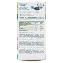Carica l&#39;immagine nel visualizzatore di Gallery, L&#39;Angelica Spirulina - Integratore Ad Azione Ricostituente - 40 g