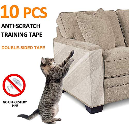 Dal Gatto Graffi Di Gatto Su Divano In Pelle WeBlog Prezzo