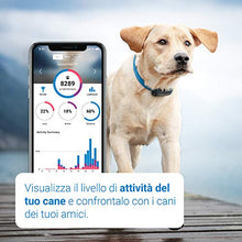 Carica l&#39;immagine nel visualizzatore di Gallery, Nuovo localizzatore Tractive GPS per cani 2019 con monitoraggio dell&#39;attività - Ilgrandebazar