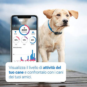 Nuovo localizzatore Tractive GPS per cani 2019 con monitoraggio dell'attività - Ilgrandebazar