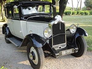 Palucart 100 coccarde Fiocco 30mm Autotiranti Bianco Matrimonio Sposi per... - Ilgrandebazar