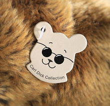 Carica l&#39;immagine nel visualizzatore di Gallery, Carl Dick Peluche, Pappagallo burattino 25cm 2430 - Ilgrandebazar
