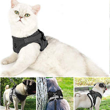 Carica l'immagine nel visualizzatore di Gallery, Toulifly Pettorina per Gatti,Harness Cat,Set di e Guinzaglio S