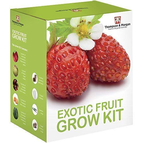 Thompson & Morgan Crescere Kit Regalo Scatole - Esotico Frutta - Ilgrandebazar