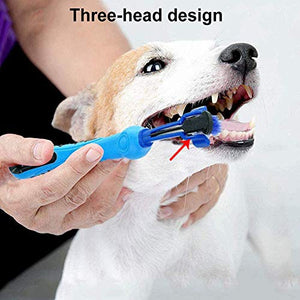 Spazzolino da Denti per Cani, INTVN 5 Pezzi Pet Professionale Pet...
