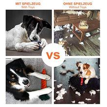 Carica l'immagine nel visualizzatore di Gallery, Toozey Giochi per Cani di Piccola Taglia/Cuccioli - 7pcs Cane...