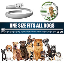 Carica l&#39;immagine nel visualizzatore di Gallery, PROZADALAN [2 PCS] Collare Antipulci Cane, Antiparassitario per Cani per Tutti i Tipi di Cani Impermeabile, 8 Mesi di Efficacia Protezione, Formula Naturale