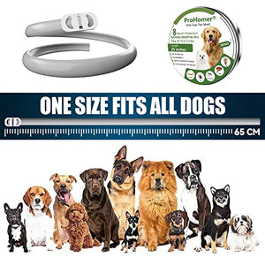 PROZADALAN [2 PCS] Collare Antipulci Cane, Antiparassitario per Cani per Tutti i Tipi di Cani Impermeabile, 8 Mesi di Efficacia Protezione, Formula Naturale