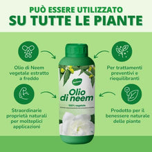 Carica l&#39;immagine nel visualizzatore di Gallery, Gardemia Olio di Neem per Piante 1 Litro 100% Vegetale Azione Naturale contro varie Avversità Giardino Casa Multiuso Estratto Meccanicamente con Pressatura a Freddo Straordinarie Proprietà Naturali
