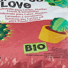 Carica l'immagine nel visualizzatore di Gallery, Undergreen CACTUS Love, Terriccio per Cactus e altre Piante Grasse da appartamento o balcone, Consentito in agricoltura biologica, 2.5 l