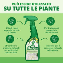 Carica l'immagine nel visualizzatore di Gallery, Gardemia Olio di Neem Spray per Piante 750ml Pronto Uso Azione Naturale contro varie Avversità Giardino Casa Multiuso Estratto Meccanicamente con Pressatura a Freddo Straordinarie Proprietà Naturali