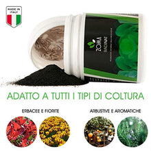 Carica l'immagine nel visualizzatore di Gallery, 1