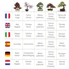 Carica l'immagine nel visualizzatore di Gallery, 12