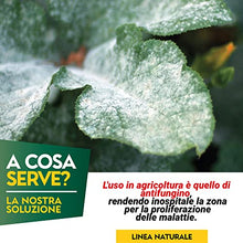 Carica l&#39;immagine nel visualizzatore di Gallery, Albagarden - Bicarbonato Di Potassio Bio Per Agricoltura Naturale E Piante - Disacidan Effetto Fungicida Contro Oidio Muffa Grigia Peronospora Monilia Ticchiolatura Bolla Del Pesco Marciume X 250 Gr