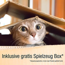 Carica l&#39;immagine nel visualizzatore di Gallery, Bella &amp; Balu Rete protettiva per gatti (trasparente | 10x4m) con 10 x 4 m - Ilgrandebazar
