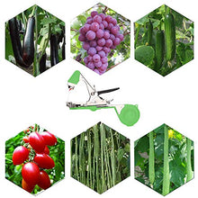 Carica l'immagine nel visualizzatore di Gallery, Legatrice per Piante, Tying Macchina Strumento Nastro a Mano Legare Verde