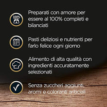 Carica l'immagine nel visualizzatore di Gallery, Cesar Ricette di Campagna Cibo per Cane con Pollo e Misto Verdurine 150 g...