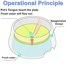 Carica l'immagine nel visualizzatore di Gallery, Dog Water ciotola non Spill Pet Bowl, no Skid e anti-choking...