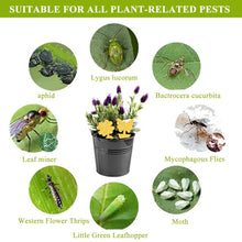 Carica l'immagine nel visualizzatore di Gallery, 30 PCS Trappola per Mosche Acchiappamosche Adesivo Plant Flycatcher Trappola per Mosche della Frutta Trappola per Insetti per Moscerini, Afidi, Mosche Minatori e Mosche Bianche (30 PCS)