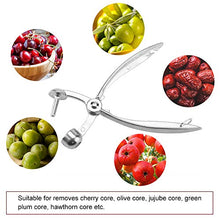 Carica l'immagine nel visualizzatore di Gallery, Toulifly Snocciolatore Ciliegie,Snocciolatore Olive,Snocciolatore Ciliegie e...