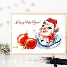 Carica l'immagine nel visualizzatore di Gallery, Brush Pen Lettering 24 Acquerelli + 1Testina Morbida, Pennarelli Lettering Professionali Acquerellabili, Brush Pen Set per Lettering, Calligrafia, Disegno a Colori, Idee Regalo Pasqua