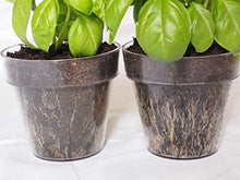 Carica l&#39;immagine nel visualizzatore di Gallery, Solabiol Concime Liquido Biologico Universale, 1 litro