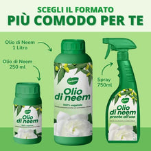 Carica l'immagine nel visualizzatore di Gallery, Gardemia Olio di Neem e Ortica per Piante 750ml Spray Azione Naturale Contro Varie Avversità Straordinarie Proprietà Naturali Macerato Ortica Giardino Alberi Multiuso Alternativa Eco ad Ampio Spettro