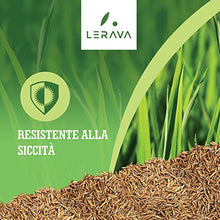 Carica l&#39;immagine nel visualizzatore di Gallery, LERAVA CHAMPION - semi prato resistente - sementi prato resistenti alla siccità - seme prato poca acqua - calpestabile - adatti a tutti i luoghi e tipi di terreno - 30m²