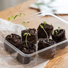 Carica l'immagine nel visualizzatore di Gallery, OwnGrown Compresse Terriccio Di Cocco Con Sostanze Nutritive - 40 Pezzi, senza Ripicchettare e senza Torba - Terriccio Fibra Di Cocco Per Orchidee, Bonsai, Piante grasse, Verdi, Da Interno