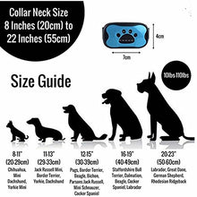 Carica l&#39;immagine nel visualizzatore di Gallery, Collare Antiabbaio avanzata 4 in 1 | Fa fermare il cane con un abbaiare...