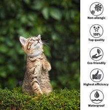 Carica l&#39;immagine nel visualizzatore di Gallery, Collare per pulci di Gatto-Collare insetticidi gatto-12 Mesi gray