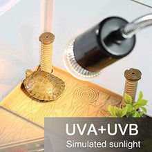 Carica l&#39;immagine nel visualizzatore di Gallery, LEDGLE Lampada Tartarughe Acqua, UVA UVB Riscaldante, 25W+50W