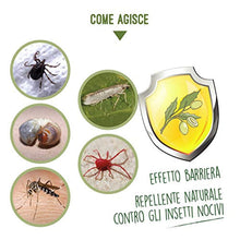 Carica l'immagine nel visualizzatore di Gallery, 5