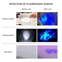 Carica l'immagine nel visualizzatore di Gallery, Winzwon Torcia UV 9 Leds Lampada Ultravioletti 395 NM torcia blacklight...