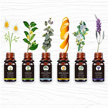 Carica l&#39;immagine nel visualizzatore di Gallery, BEVILLE Oli Essenziali per Diffusori, Aromaterapia Olio Essenziale Biologici... - Ilgrandebazar