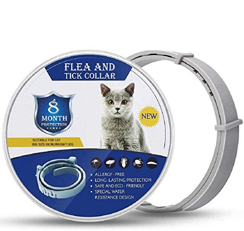 Collare per pulci di Gatto-Collare insetticidi gatto-12 Mesi gray