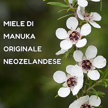 Carica l&#39;immagine nel visualizzatore di Gallery, Miele di Manuka 400+ MGO 250 gr. Prodotto in Nuova Zelanda, Attivo e 250 g