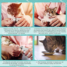 Carica l'immagine nel visualizzatore di Gallery, AHUIFT - Tagliaunghie professionale per cani e gatti, ricaricabile tramite...