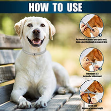 Carica l&#39;immagine nel visualizzatore di Gallery, PROZADALAN [2 PCS] Collare Antipulci Cane, Antiparassitario per Cani per Tutti i Tipi di Cani Impermeabile, 8 Mesi di Efficacia Protezione, Formula Naturale