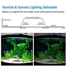 Carica l&#39;immagine nel visualizzatore di Gallery, NICREW Timer dell&#39;Acquario, Illuminazione Acquario Digitale per...
