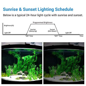 NICREW Timer dell'Acquario, Illuminazione Acquario Digitale per...