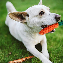 Carica l'immagine nel visualizzatore di Gallery, Toozey Giochi per Cani di Piccola Taglia/Cuccioli - 7pcs Cane...