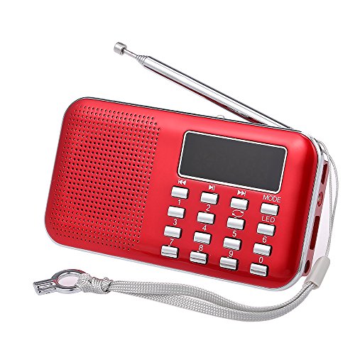 docooler Mini FM Portatile Radio Altoparlanti con Display LCD Supporto Rosso