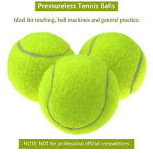 Carica l'immagine nel visualizzatore di Gallery, Philonext 12 Pcs Palline da tennis, pacchetti Sport palla di gioco del cane... - Ilgrandebazar