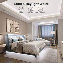Carica l'immagine nel visualizzatore di Gallery, Lepro Striscia LED 10M 600LED SMD2835 Bianco Freddo 6000K Dimmerabile, 24V 1800 Lumen Nastri LED per Decorazioni Interne/Feste/Natale, Strisce LED Kit Completo Alimentatore e Interruttore Dimmer
