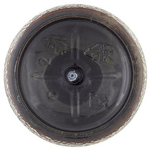 Carica l&#39;immagine nel visualizzatore di Gallery, Fabbri Sciroppo Chinotto Zero 560ml - [confezione da 3]