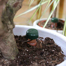 Carica l&#39;immagine nel visualizzatore di Gallery, Blumat distributore d&#39; Acqua per Le Piante (6 Pezzi) 6 pezzi