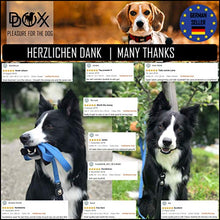 Carica l'immagine nel visualizzatore di Gallery, DDOXX Guinzaglio per Cani Nylon, Regolabile con XS - 1,0 x 200 cm, Arancione