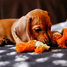 Carica l&#39;immagine nel visualizzatore di Gallery, Digiflex 3 x Grandi Coperte in Morbido Pile - per Cani, Gatti, Conigli Grande - Ilgrandebazar